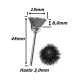 Anterior