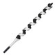 Anterior