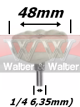 Anterior