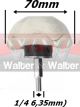 Anterior