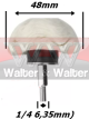 Anterior
