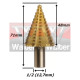 Anterior
