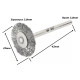 Anterior