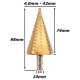 Anterior
