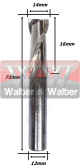 Anterior