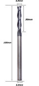 Anterior
