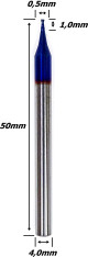 Anterior