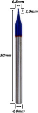 Anterior