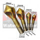 Anterior