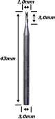Anterior