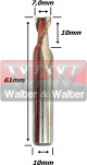 Anterior