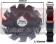 Anterior