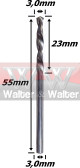 Anterior