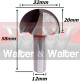 Anterior