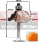 Anterior