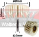 Anterior