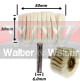 Anterior
