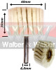 Anterior
