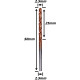 Anterior