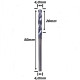 Anterior