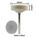 Anterior