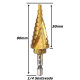 Anterior