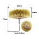 Anterior