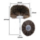 Anterior