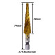 Anterior