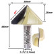 Anterior