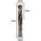 Anterior