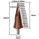 Anterior