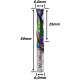 Anterior