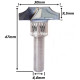 Anterior