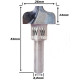 Anterior