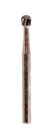 Anterior