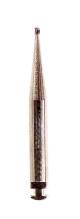Anterior