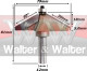 Anterior