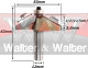 Anterior