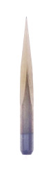 Anterior