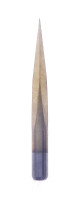 Anterior