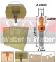 Anterior