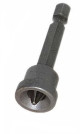 Anterior