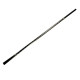 Anterior