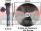 Anterior