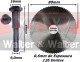 Anterior