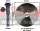 Anterior