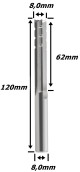 Anterior