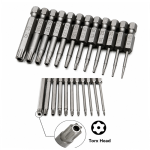 Kit 12 Chaves Bits Torx 50mm. (Ftr1784)